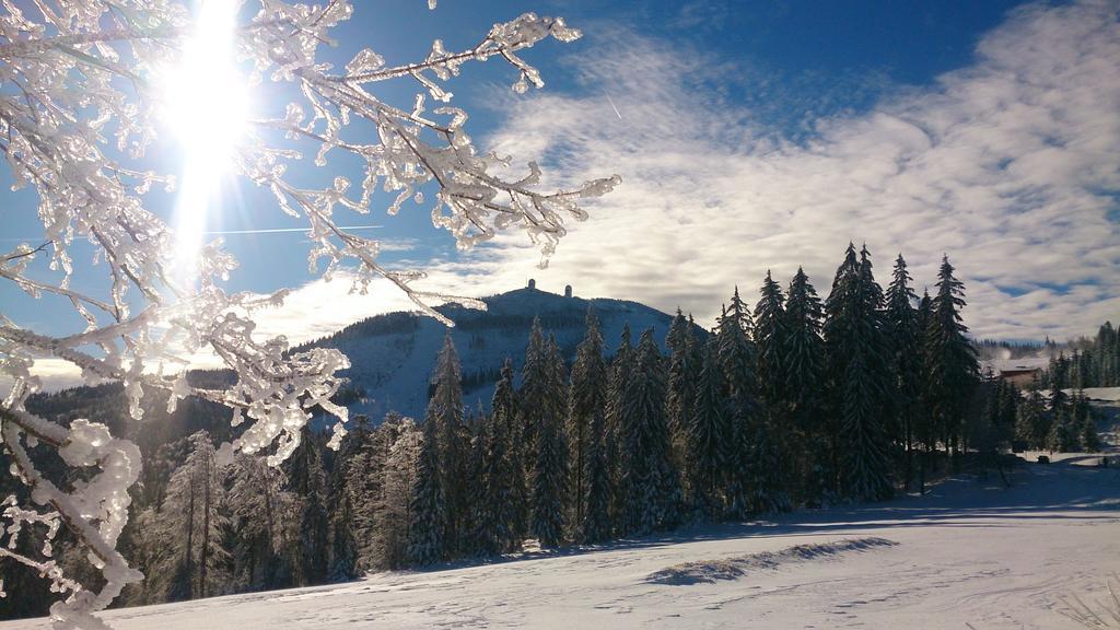 Arberwald Gasthof *