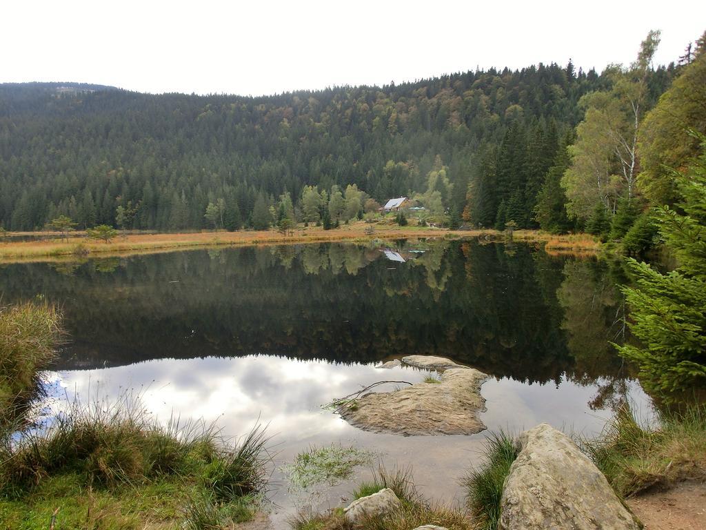 Arberwald *