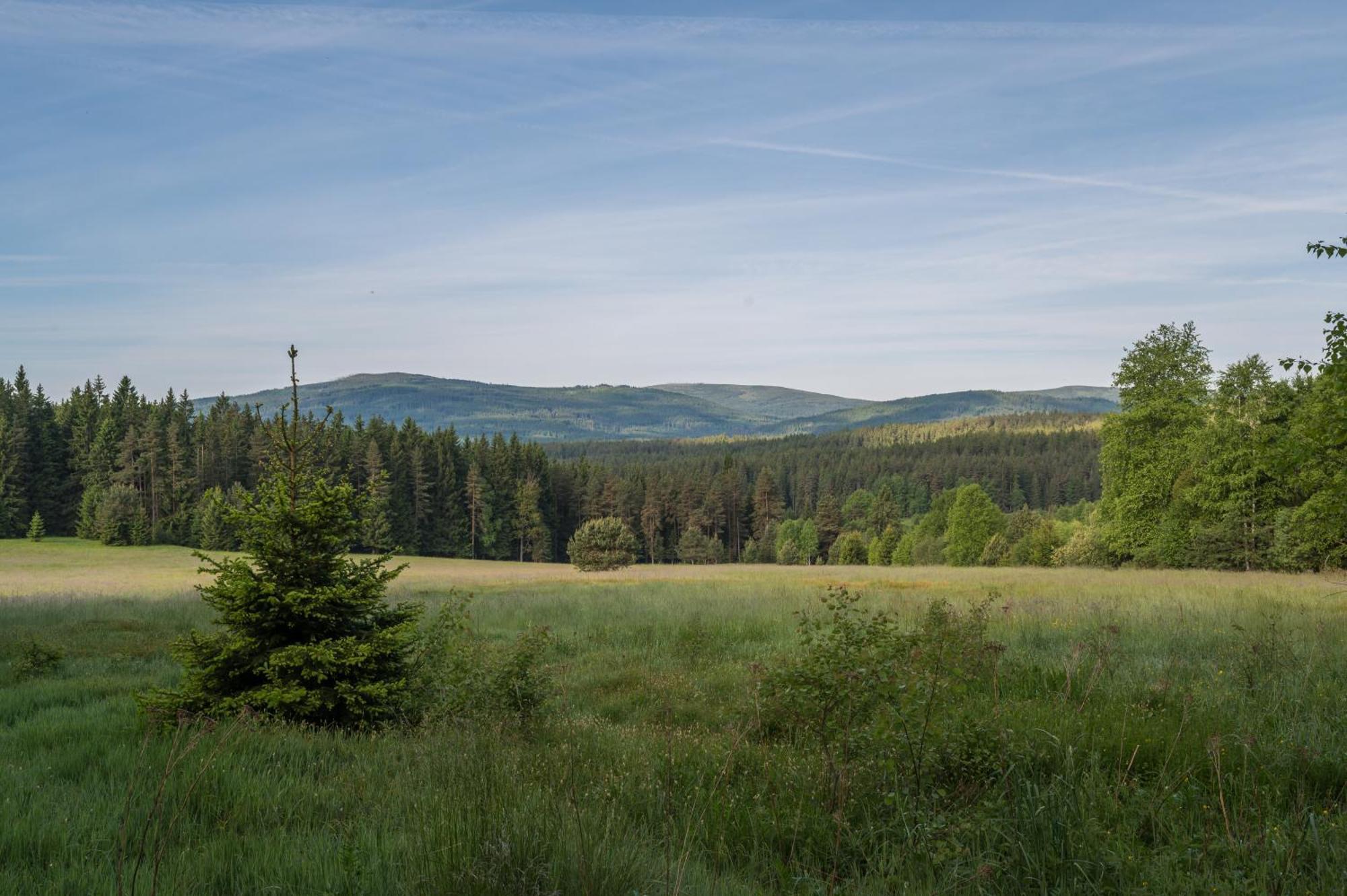 Arberwald Gasthof *