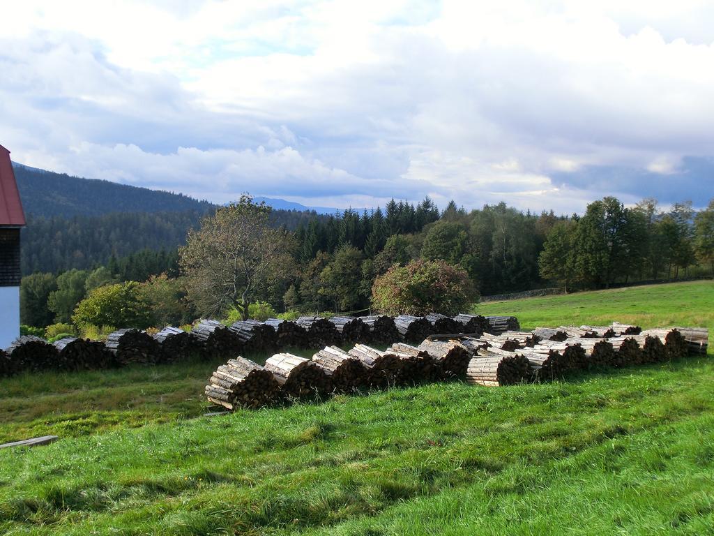 Arberwald Bayerisch Eisenstein