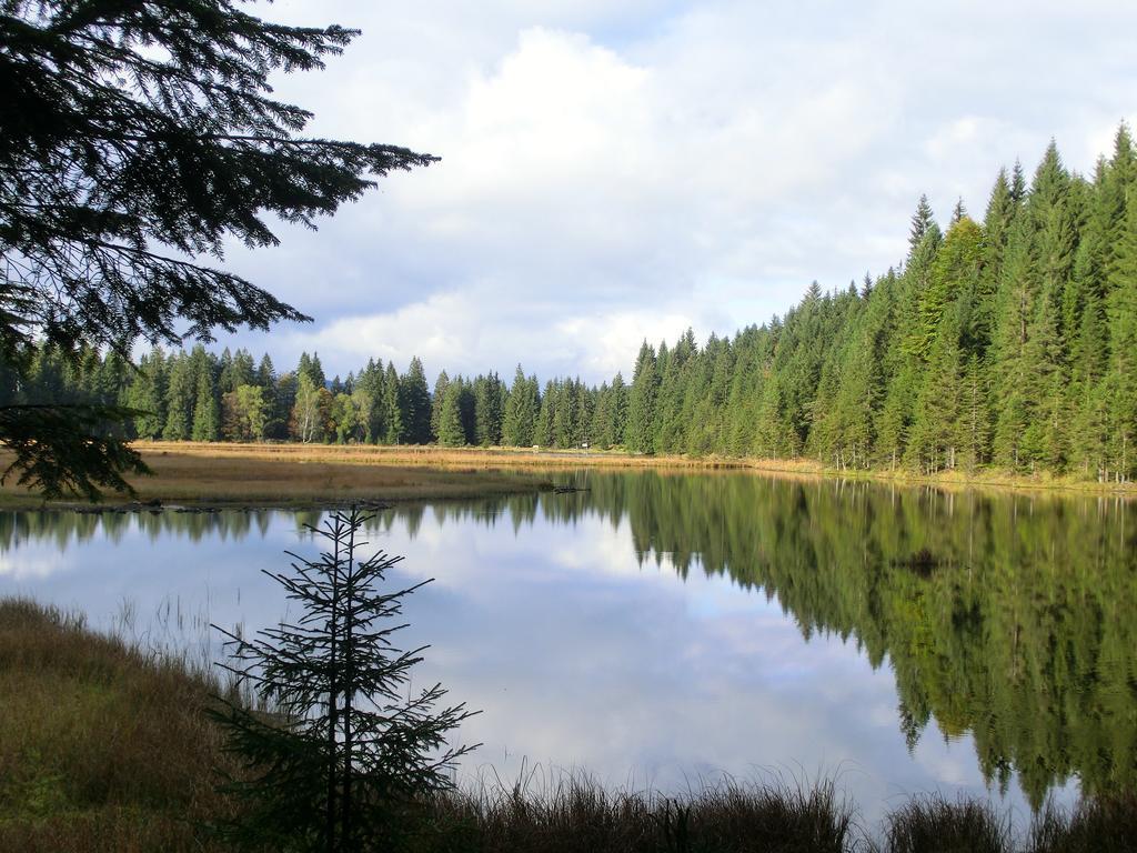 Arberwald * Bayerisch Eisenstein